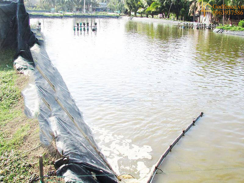 Bạt HDPE sử dụng cho hồ nuôi trồng thủy sản, tôm cá