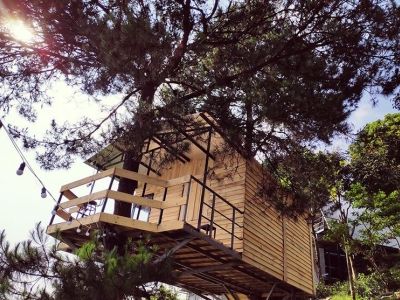 Homestay nhà gỗ tam đảo siêu chất - Review 90’s Homestay