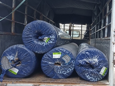 Vải địa kỹ thuật TS40