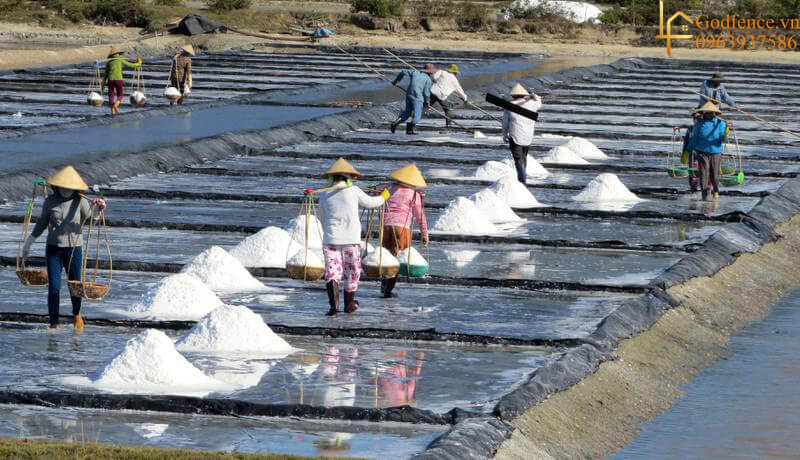 Sử dụng bạt HDPE cho ruộng sản xuất muối
