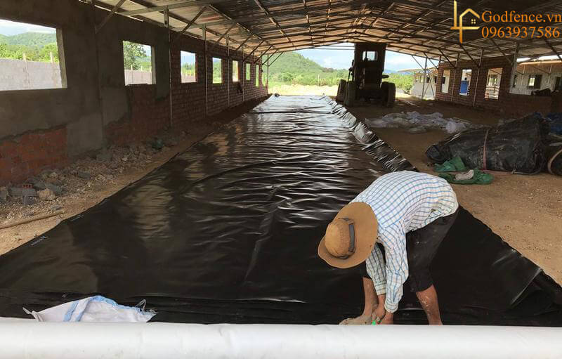 Màng HDPE chống thấm sử dụng trong trang trại chăn nuôi