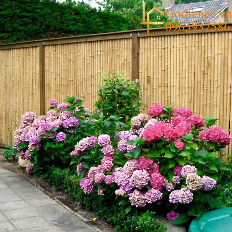 Các mẫu tường rào bằng tre được xử lý mối mọt cẩn thận để đảm bảo độ bền tốt nhất