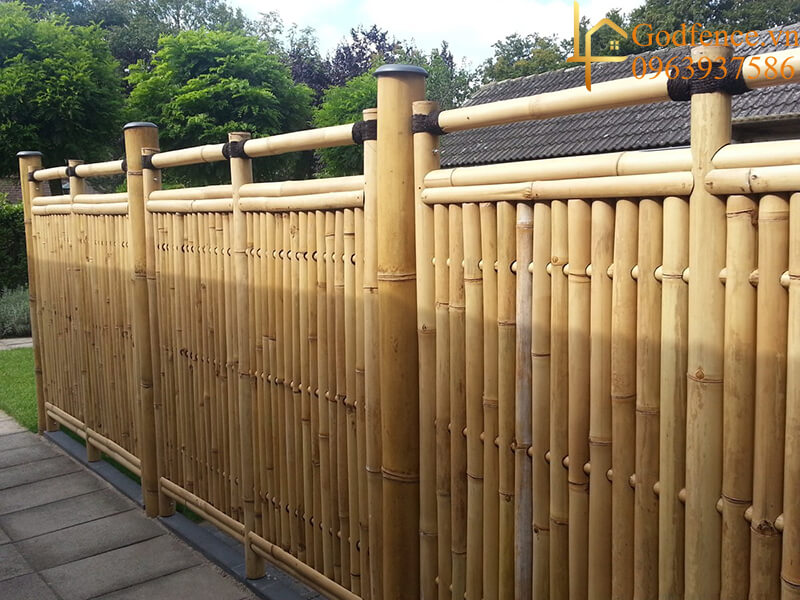Hàng rào tre đã xuất hiện từ rất lâu đời nay tại Việt Nam và đến nay vẫn được ưa chuộng
