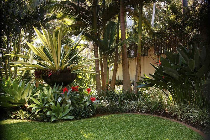 Thiết kế mẫu sân vườn mang phong cách nhiệt đới tập trung trong việc lựa chọn cây cảnh mới lạ, màu sắc