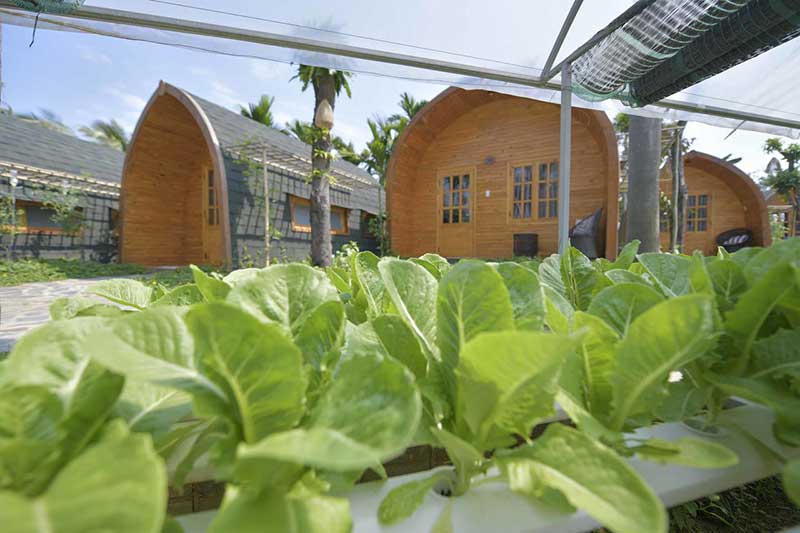 Nhà gỗ mini có thể đặt trong các trang trại nghỉ dưỡng