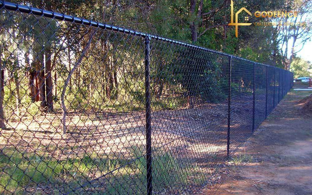 Hàng rào lưới B40 bao quanh vườn cây